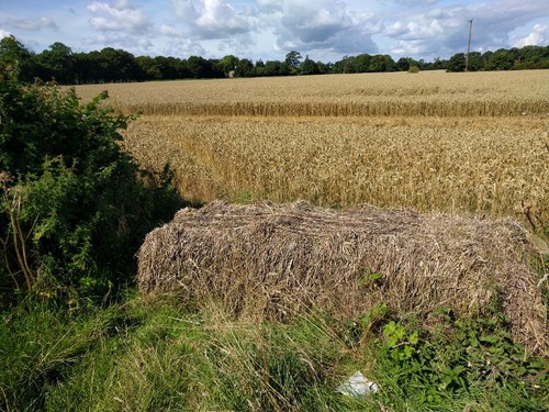 Photo 6x4 field entrance - 6x4,