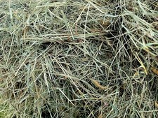 Gorgeous Natural Meadow Hay