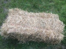 Quality Small Bales Of Hay