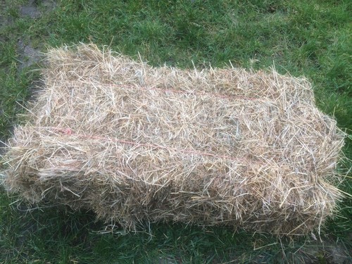 Quality small bales hay - bales,