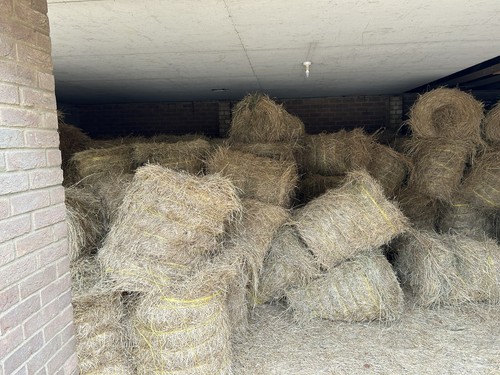 100 mini round bales - round, of