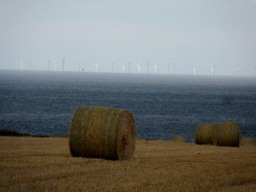 Photo bale hay - photo, a3