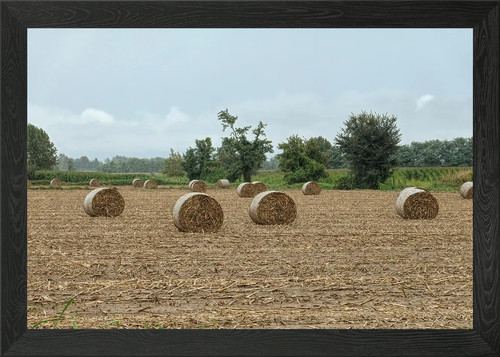Bale hay the meadow - hay,