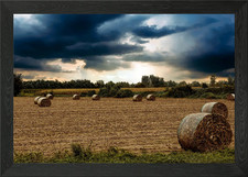 bale of hay in the meadow