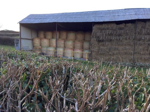 Photo 6x4 hay bales - photo,