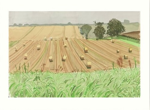 David hockney field - hockney,
